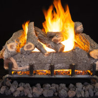 アーク】bonfire go outside EGS SHELF EGS SHELF アーク】bonfire go outside EGS SHELF EGS SHELF